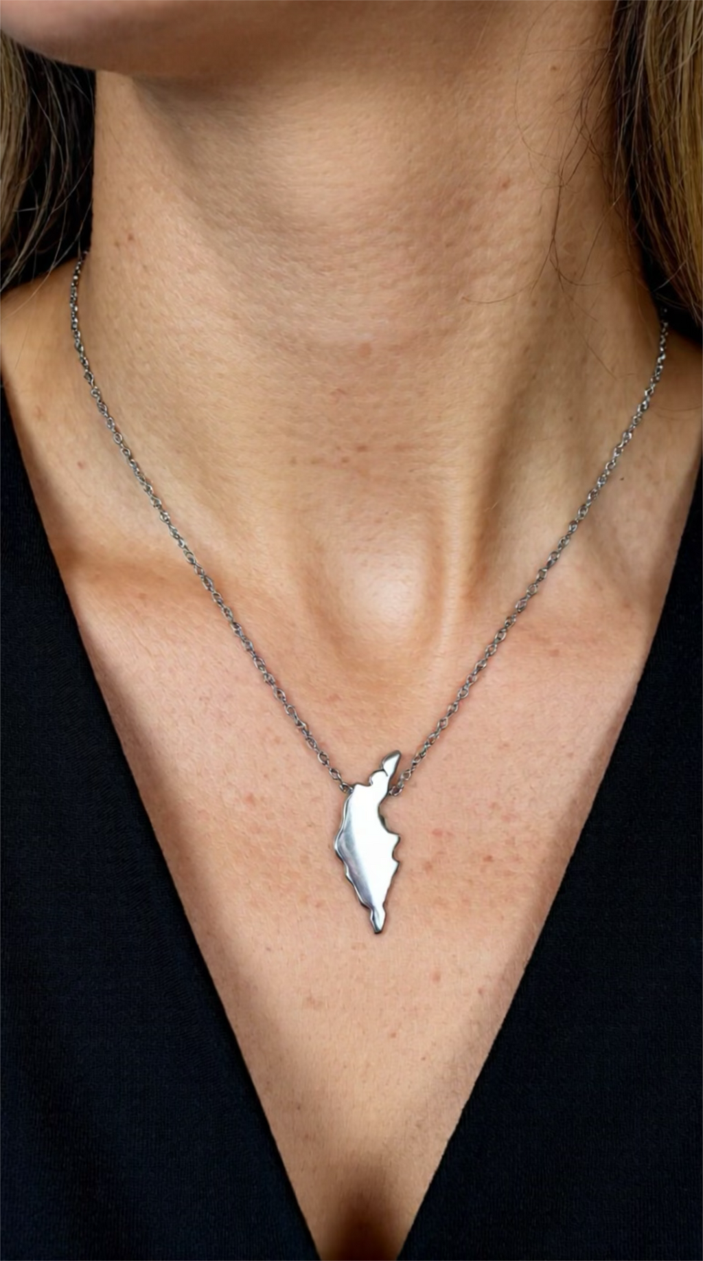 Gotland Halsband Silver - Rostfritt Stål med Ökarta