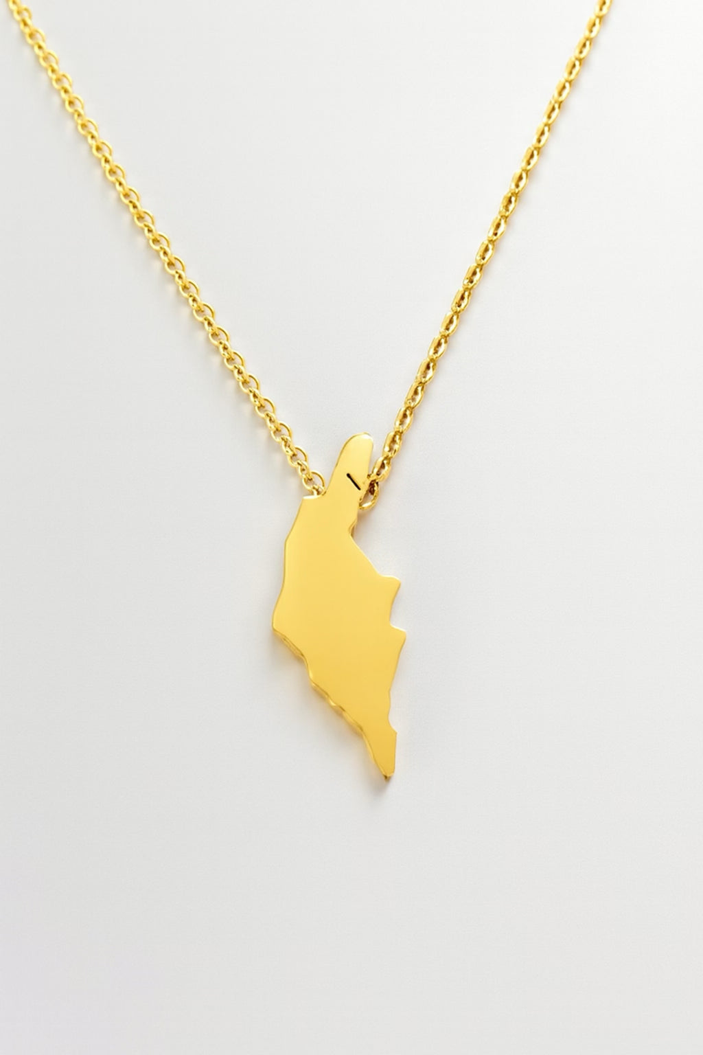 Gotland Halsband Guldig - Rostfritt Stål med Ökarta